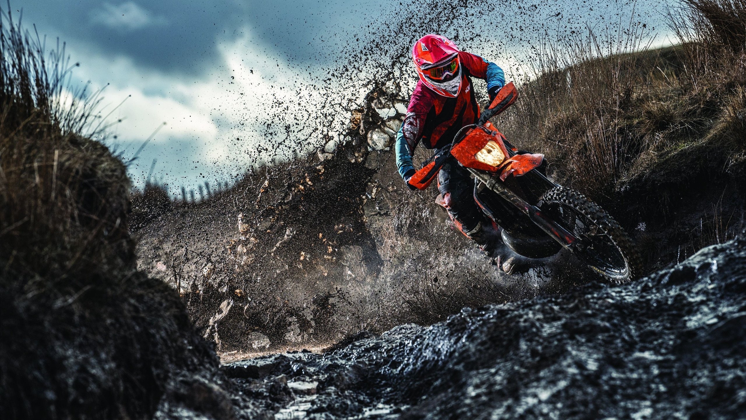 冰与火之歌，哈弗茨一锤定音，尼日利亚决胜局上演逆转奇迹